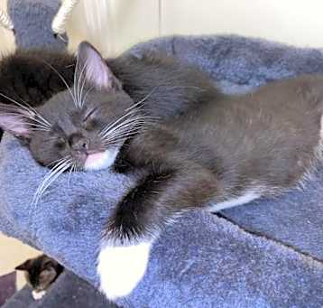 Photo of Maryann