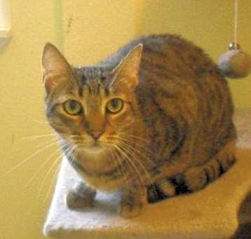 Photo of Mortimer
