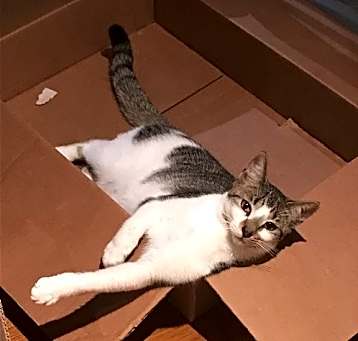 Photo of Alice