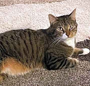 Photo of William