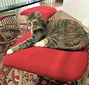 Photo of Kate