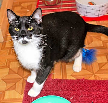 Photo of Peter