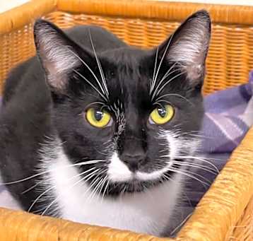 Photo of BO