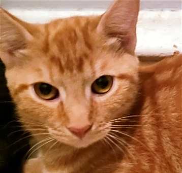 Photo of Finney