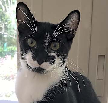 Photo of Fritz