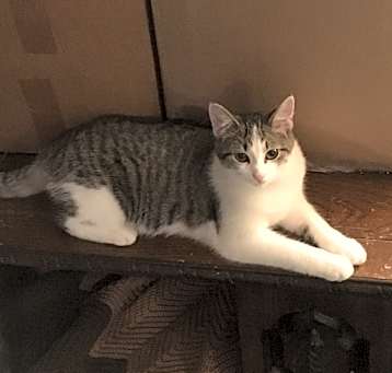 Photo of Charlene