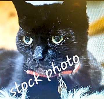 Photo of Hershey