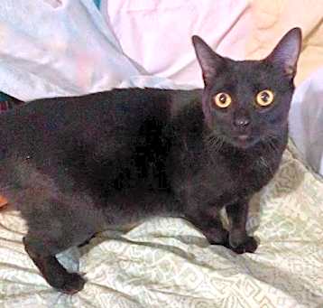 Photo of Lovey
