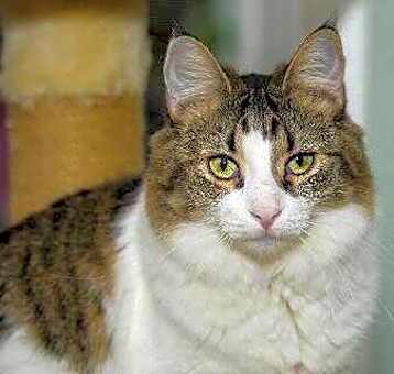 Photo of Zoey 081621