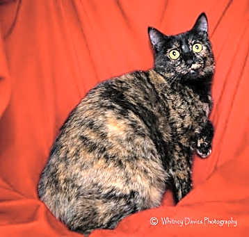 Photo of Gigi