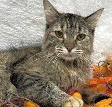 Photo of Prudence