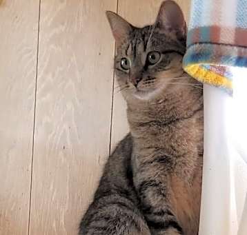 Photo of Chrissy