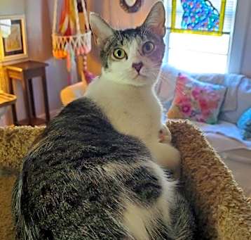 Photo of Martha