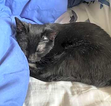 Photo of SOLEIL