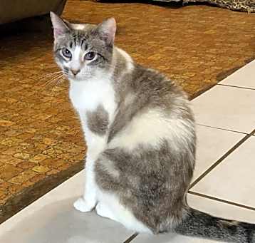 Photo of Cheyenne