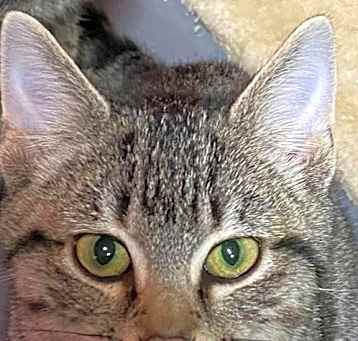Photo of Gina