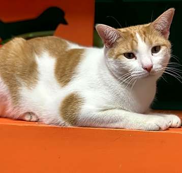 Photo of Tobias