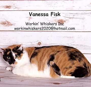 Photo of VANESSA FISK