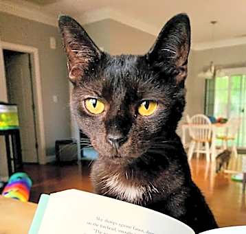 Photo of NEBULA