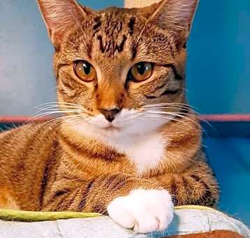 Photo of Bootsy