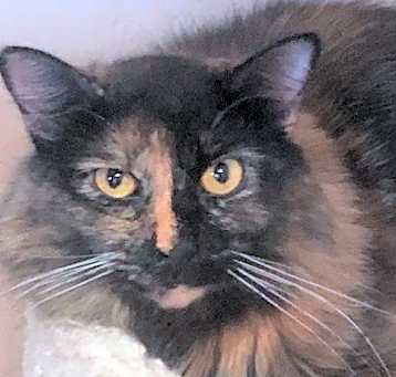 Photo of KIMMI