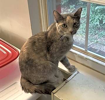 Photo of Sophie