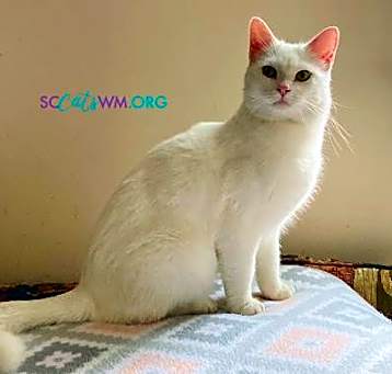 Photo of Bianca