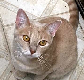 Photo of Chelsea