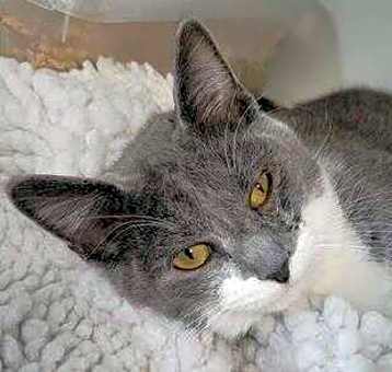 Photo of Simon