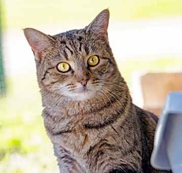 Photo of Molly 111121