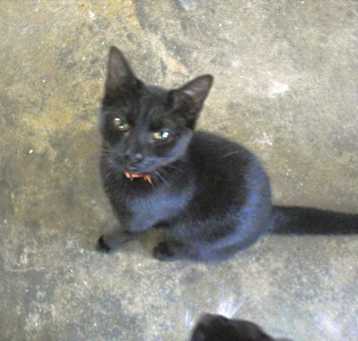 Photo of Wally