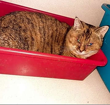 Photo of Eleanor