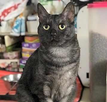 Photo of Bonnie