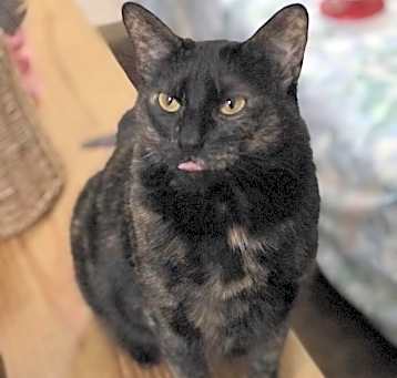 Photo of Spirit