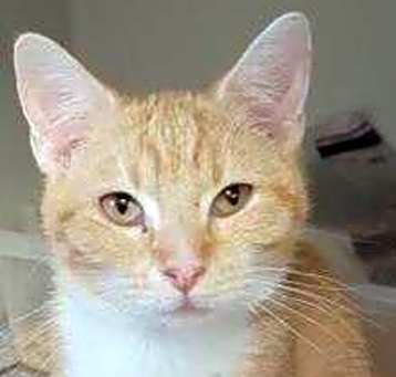 Photo of Sugar