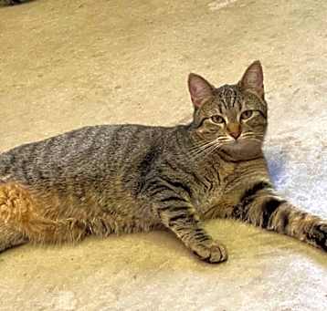 Photo of Zuri