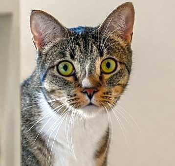 Photo of Gretchen