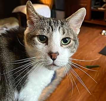 Photo of BIG BOY