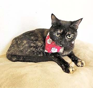 Photo of Luna