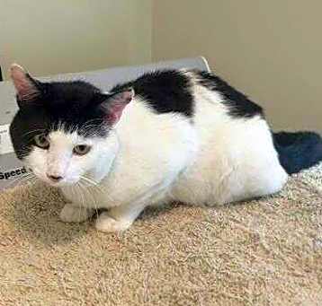 Photo of Jasper