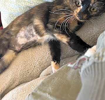 Photo of Molly