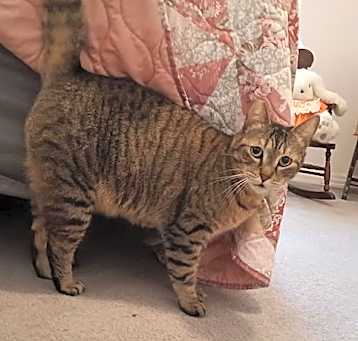 Photo of Layla