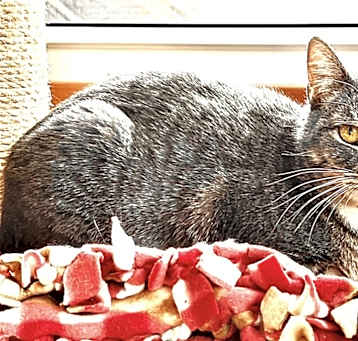 Photo of Sage