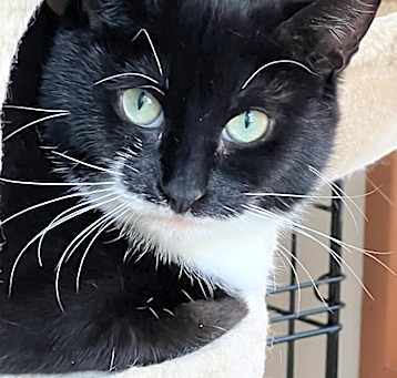 Photo of Scampy
