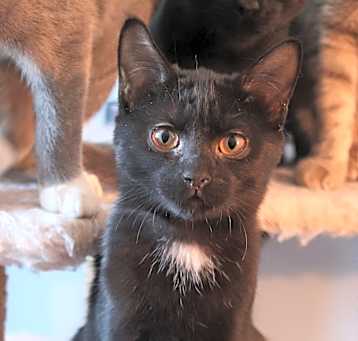 Photo of Marsha