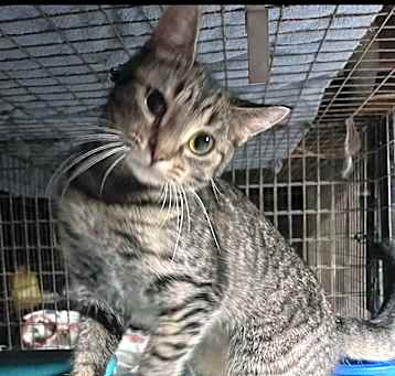 Photo of Athena