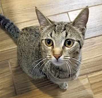 Photo of Clancy