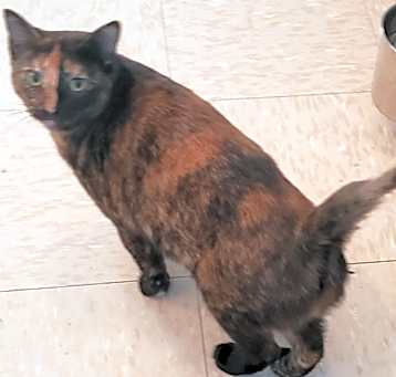 Photo of Molly