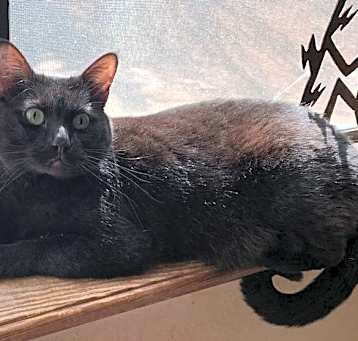 Photo of Kristine's Nikki