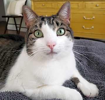 Photo of Margo Elizabeth